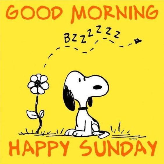 PEANUT-HAPPY-SUNDAY