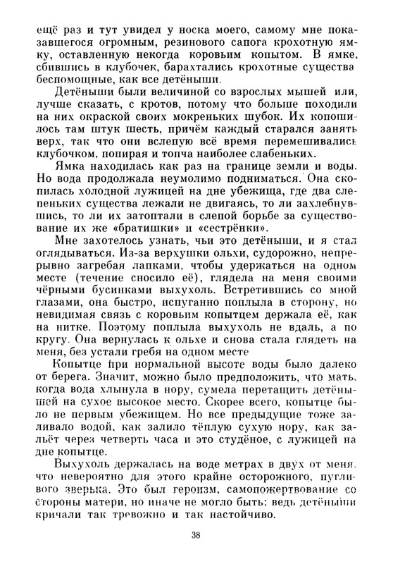 1986-page-0040