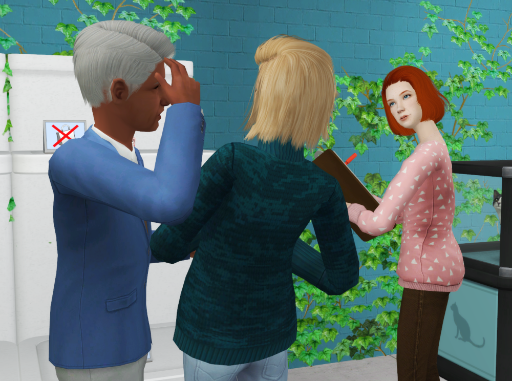 Sims2-EP9-RPC-2022-02-21-16-20-52-68