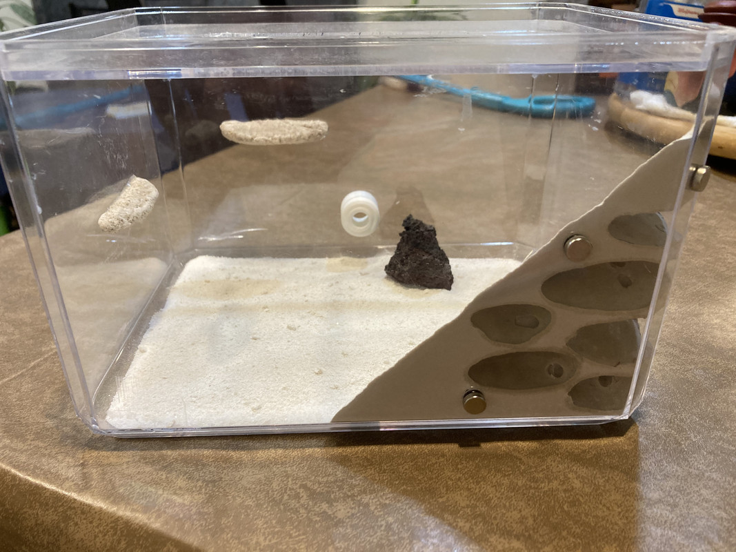 B87DA816-597C-4E66-B739-64C39F9429E0