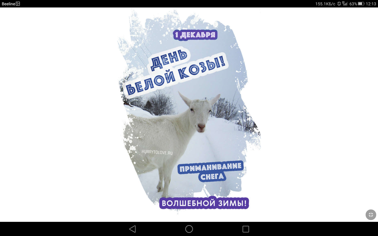 Screenshot_2021-12-01-12-13-10