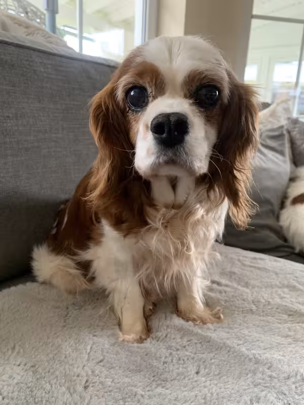 9879DF15-3593-42F5-986B-E70FECB286E8