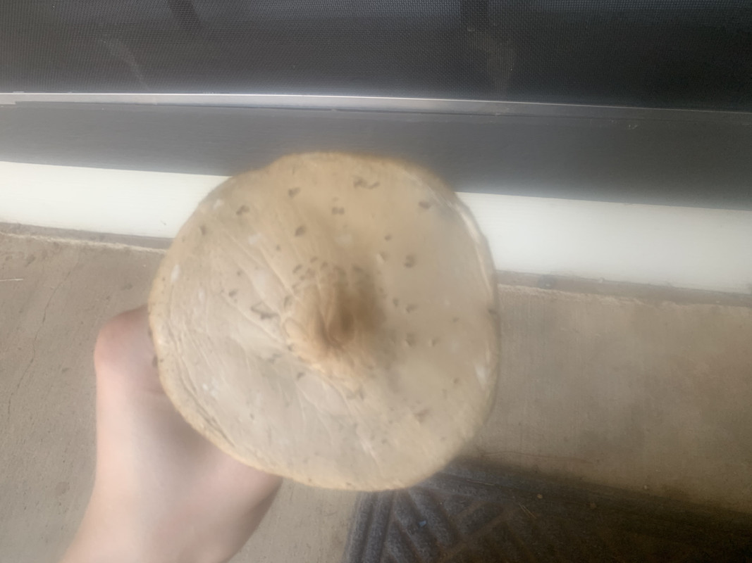 ACF23315-567A-453D-89C1-BFDD130D183C