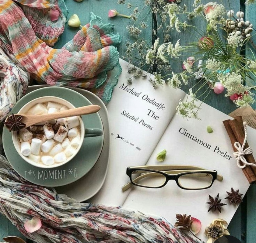 Screenshot_20230225_013118_Pinterest