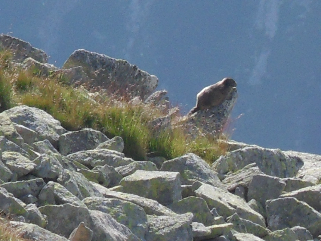 46 - SDC12156 (Czesio1)