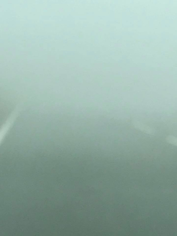 39876145_10212264233746555_1614368032065323008_n