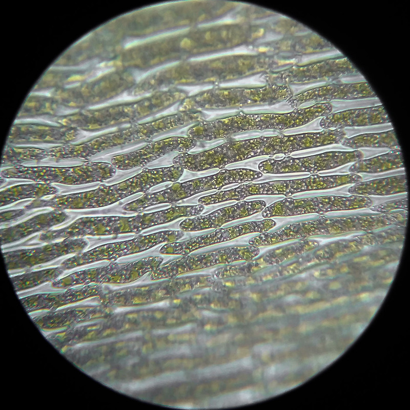 IMG 20250614 111522 HDR