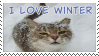 i love winter cat stamp