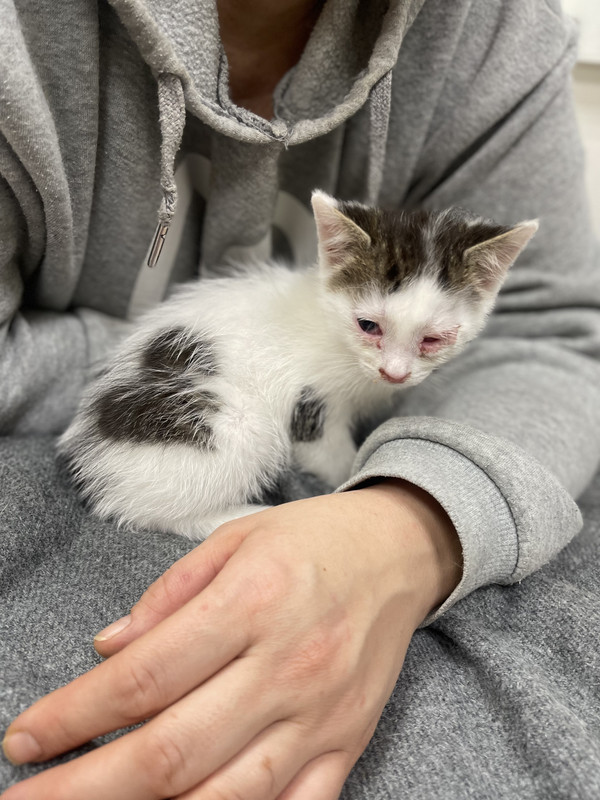 7C9D01FE-D5AD-436C-BD48-5A1C67A8ABD0