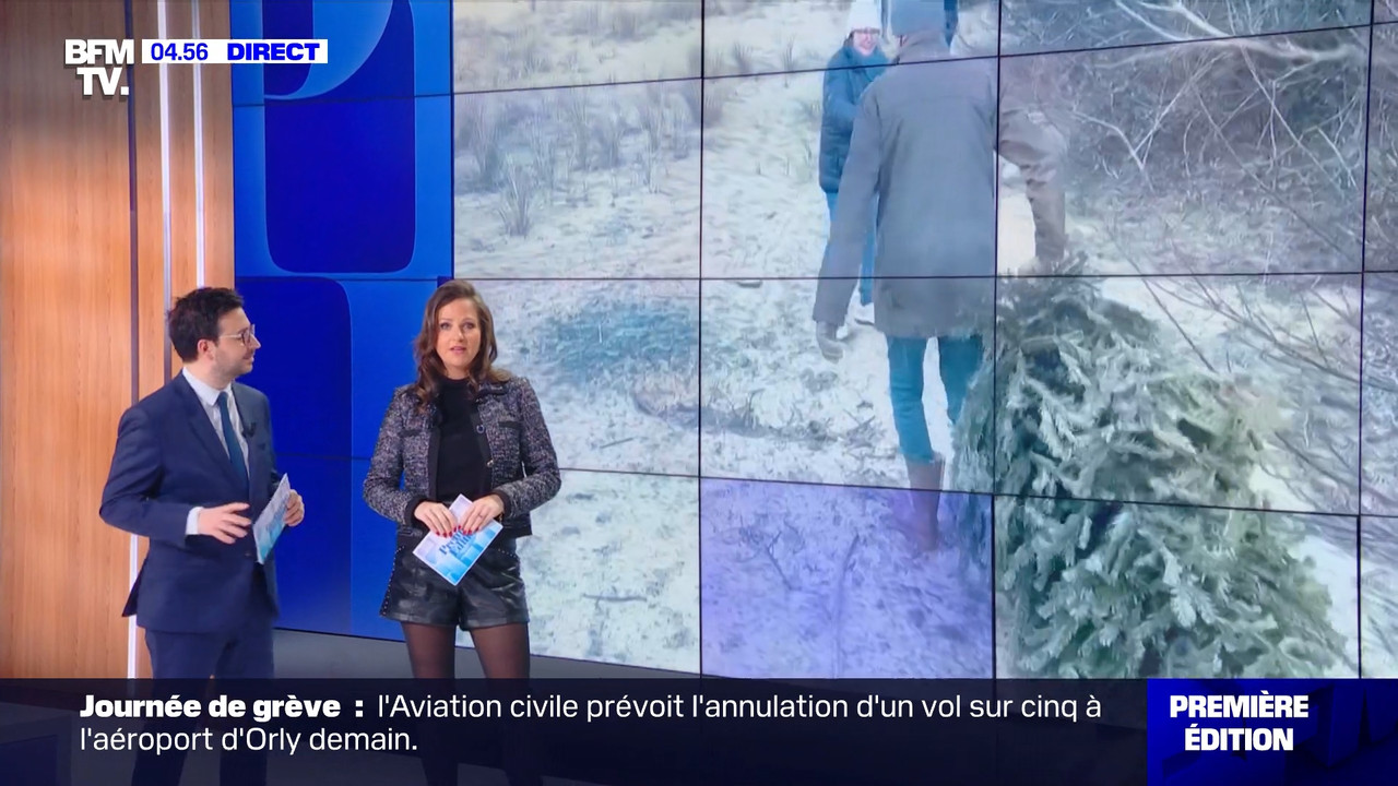 P EDITION 2023_01_18_03_25_00.ts_snapshot_00.34.21.436