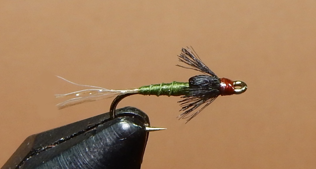 Daysaver-Baetis-1080.jpg