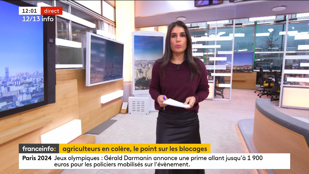 12-13 info (Franceinfo)_2024_01_30_10_54_86.ts_snapshot_00.07.53.384