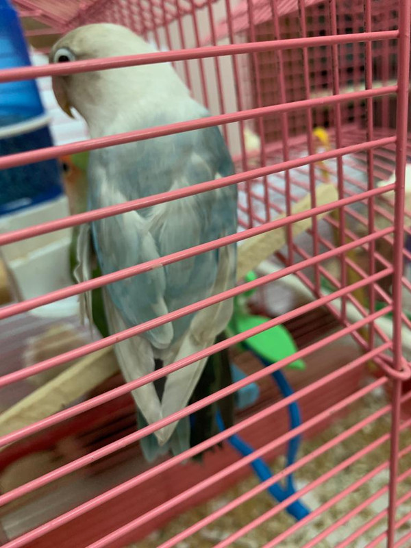 CE98A94B-D78A-4DB2-9BE6-F68AED0F9257