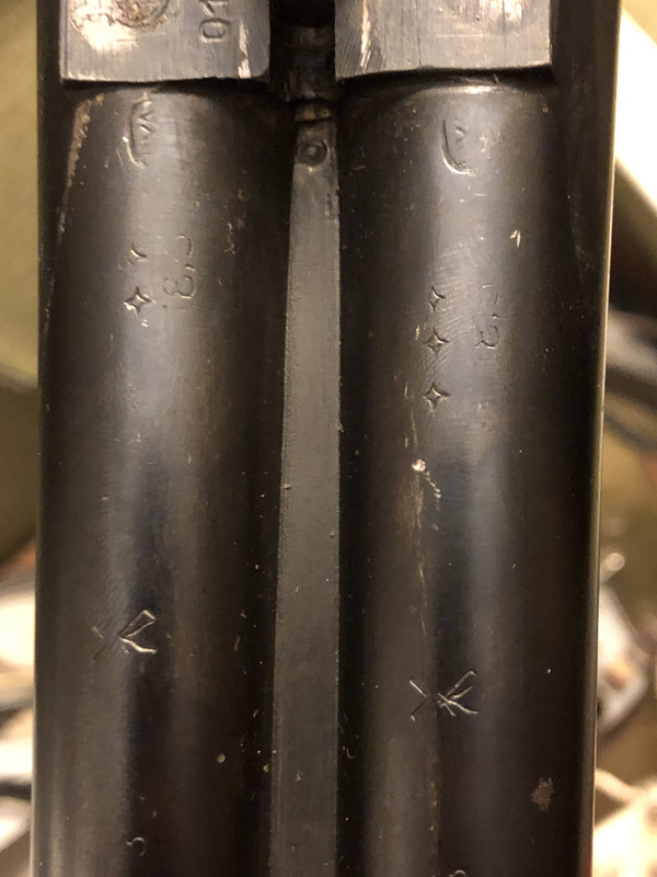 [Linked Image from i.postimg.cc]