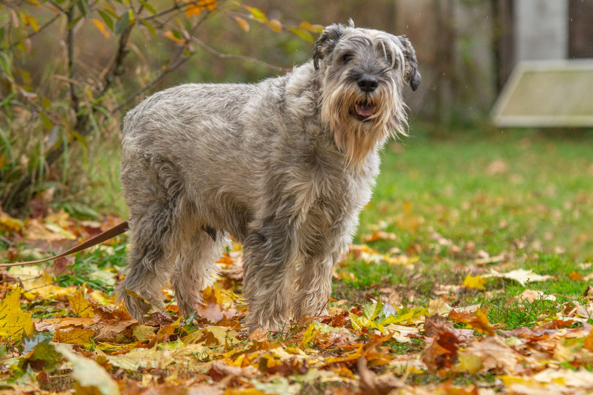 MTBPvrUoxQgRpL0UzCPgzd0VSv595BB86-InKPVfONqBysaCVXQr2jJeHKUhAr1UscDb8mSFr6ORbodrt9wYTV6O