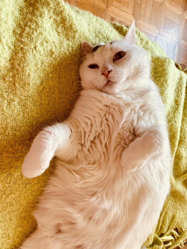 59058750199__FF07B5F9-F7FE-4FDA-BBC7-51F869F0CF66