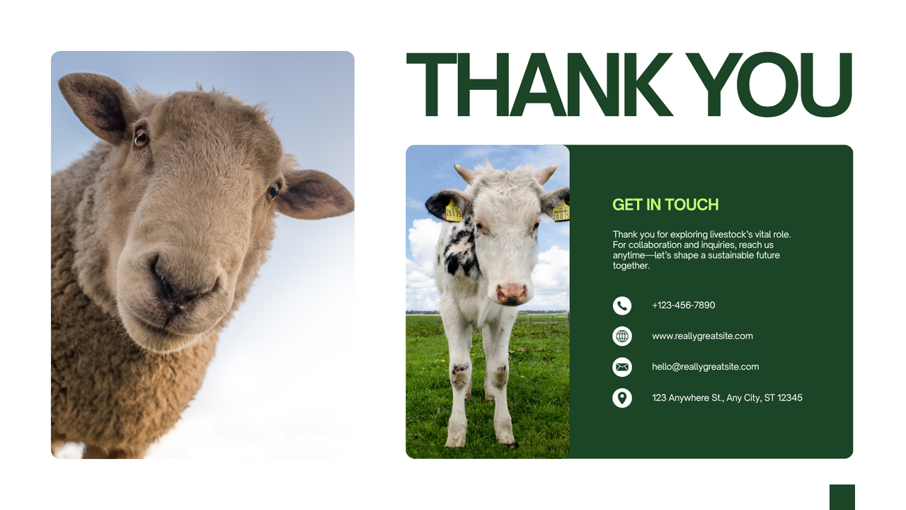 Green and White Simple Livestock Presentation