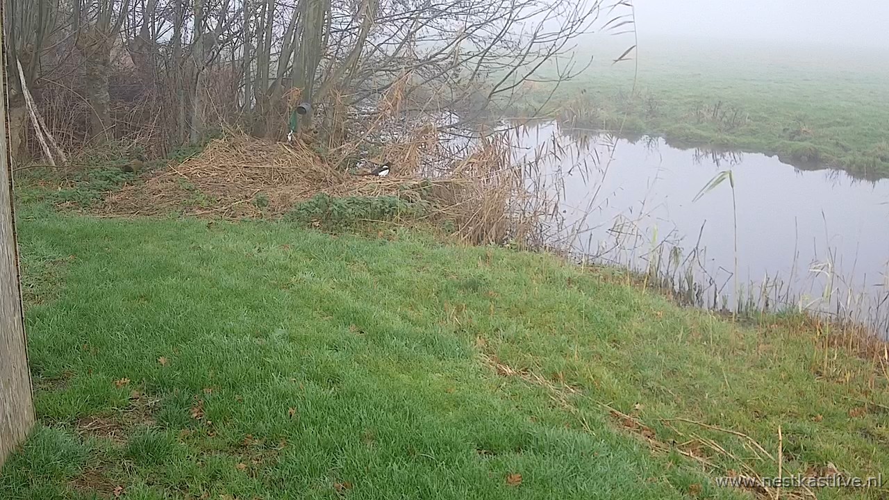 snapshot 2025 12 20T122958 993