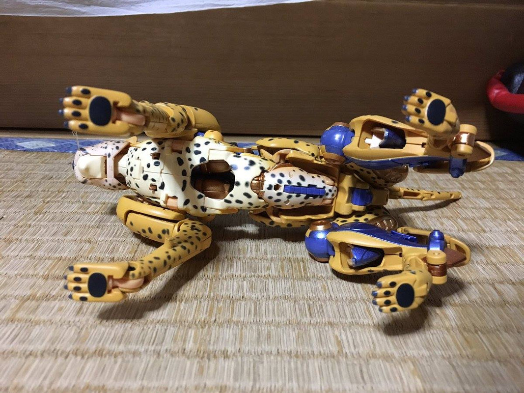 16835852_413135415703558_1088484390547477201_o