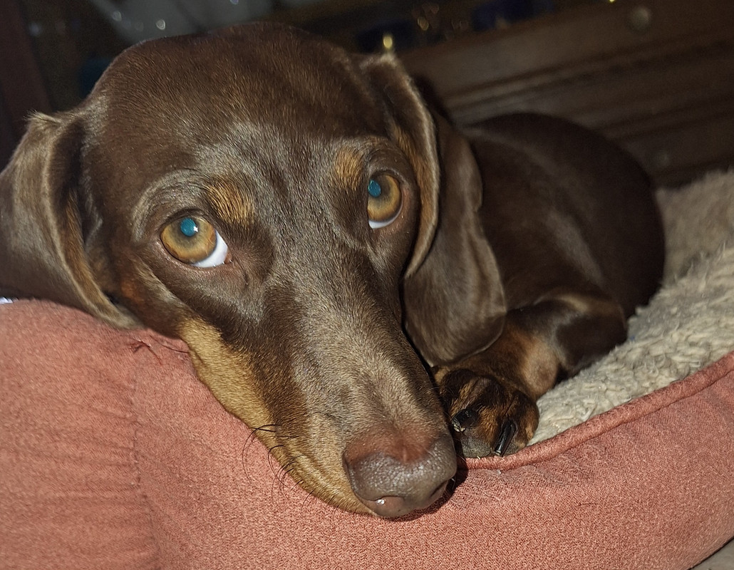 [Image: 20240930-165349.jpg]