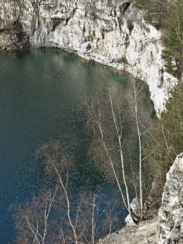 DSC07368
