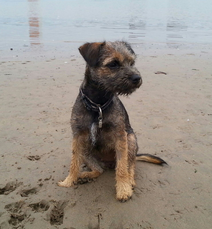 5D2EDD26-649C-4F7A-A4E0-87C2C9293FCF