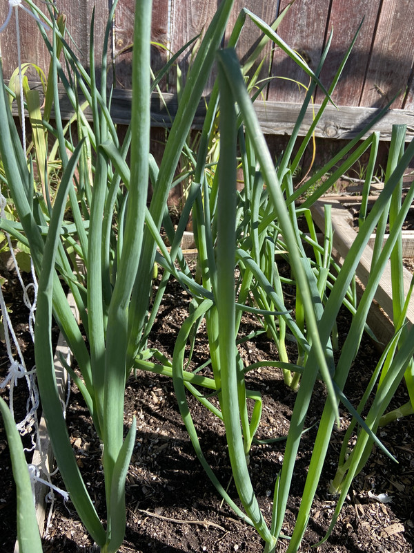 3DF2FF9D-5EC5-4EE3-91A3-9C2262980CE7