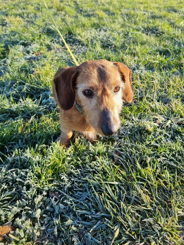 [Image: IMG-20230209-WA0002.jpg]