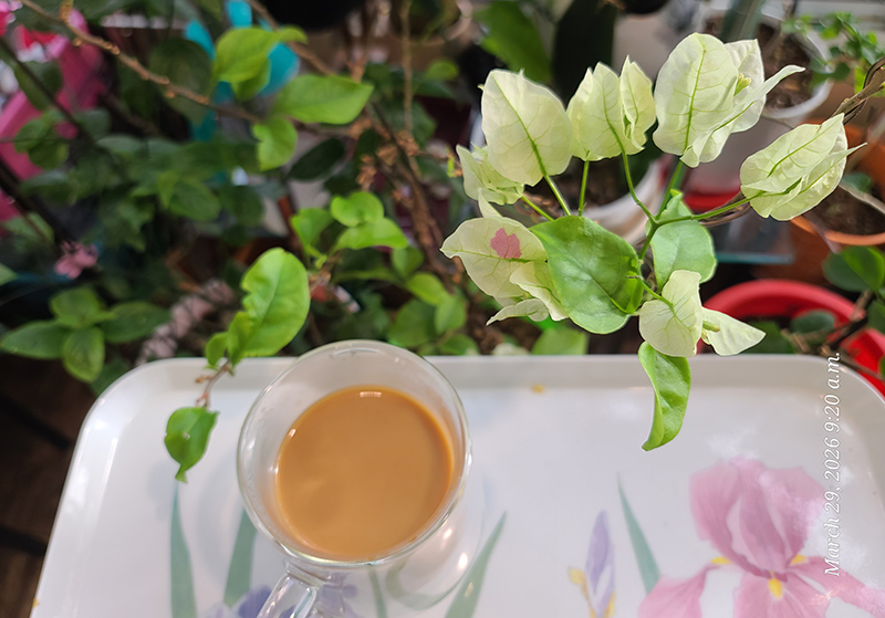 [Image: 20260329-092020.jpg]