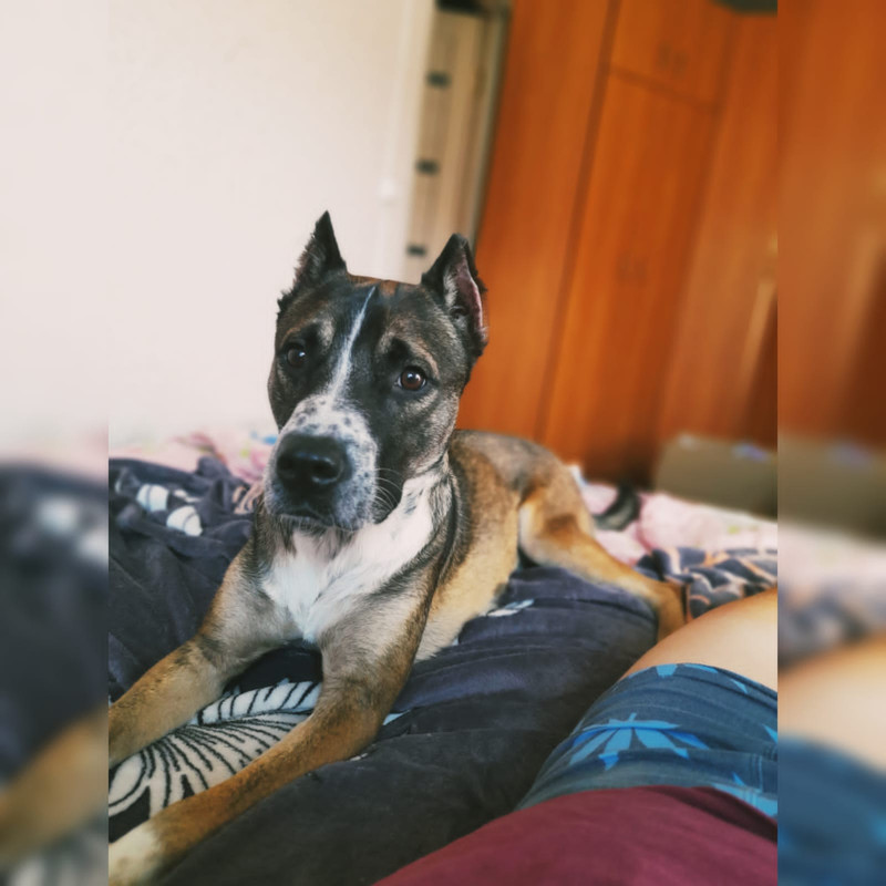 572647A1-D216-4F43-9EC0-AC4114DD3939