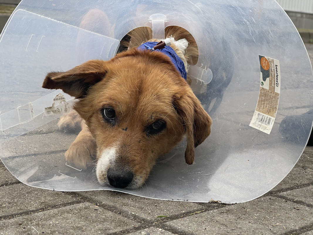 26AF16A6-63D3-4BB0-87E5-33B7F5FC5A2E