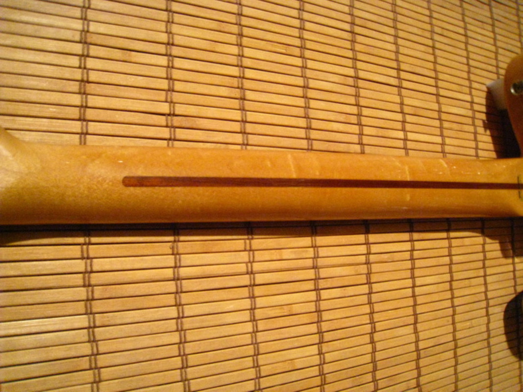 fendertl71ash-and2-16