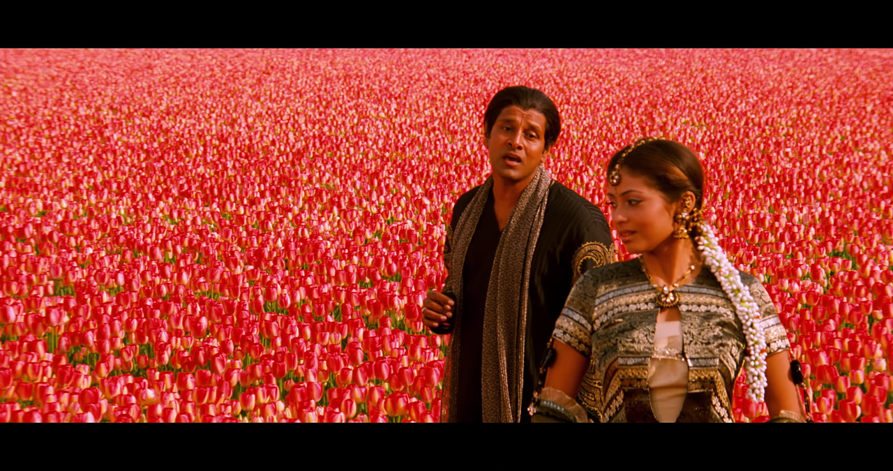 VideoCapture_20241122-200616