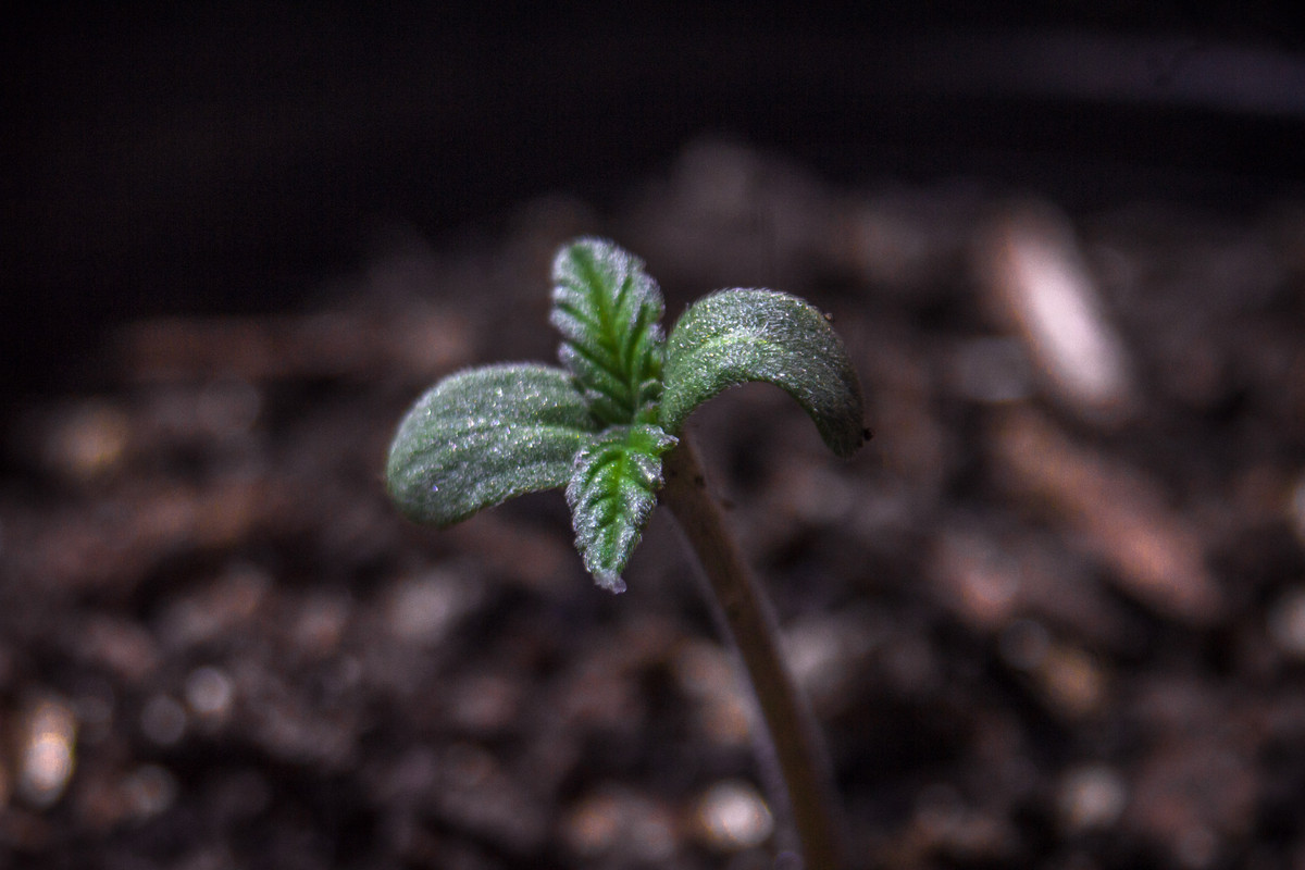 seguimientoindoor1.01 (2 de 13)