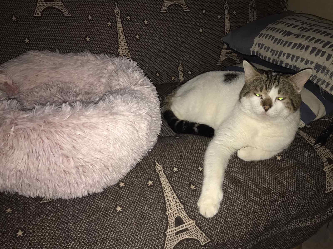 AFEBF35F-6958-42C9-8642-C90AAD97C8F2