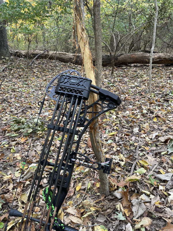 5CBC5CF0-9BE2-4A59-B49B-528161F09808