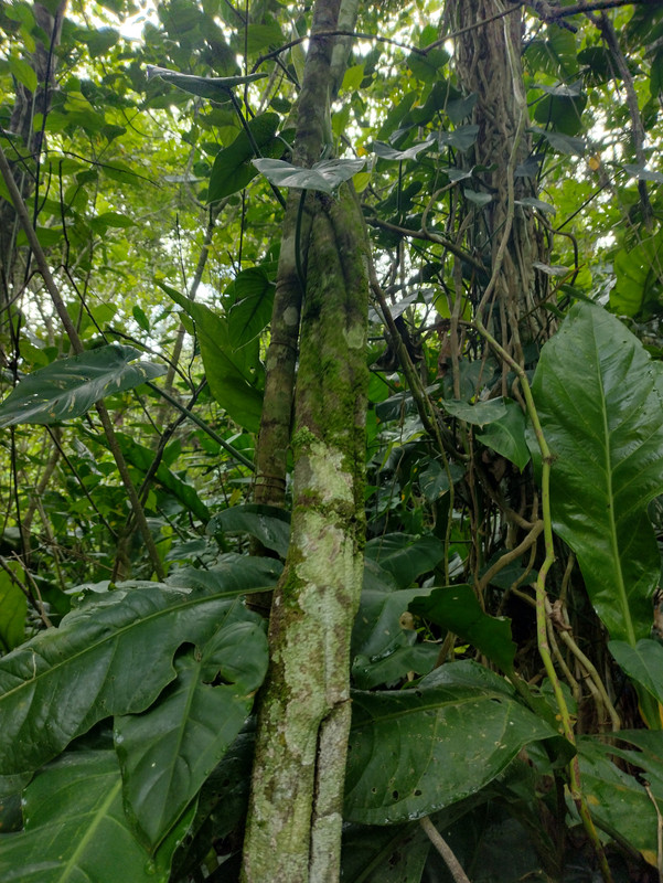 IMG_20220423_074400915_HDR