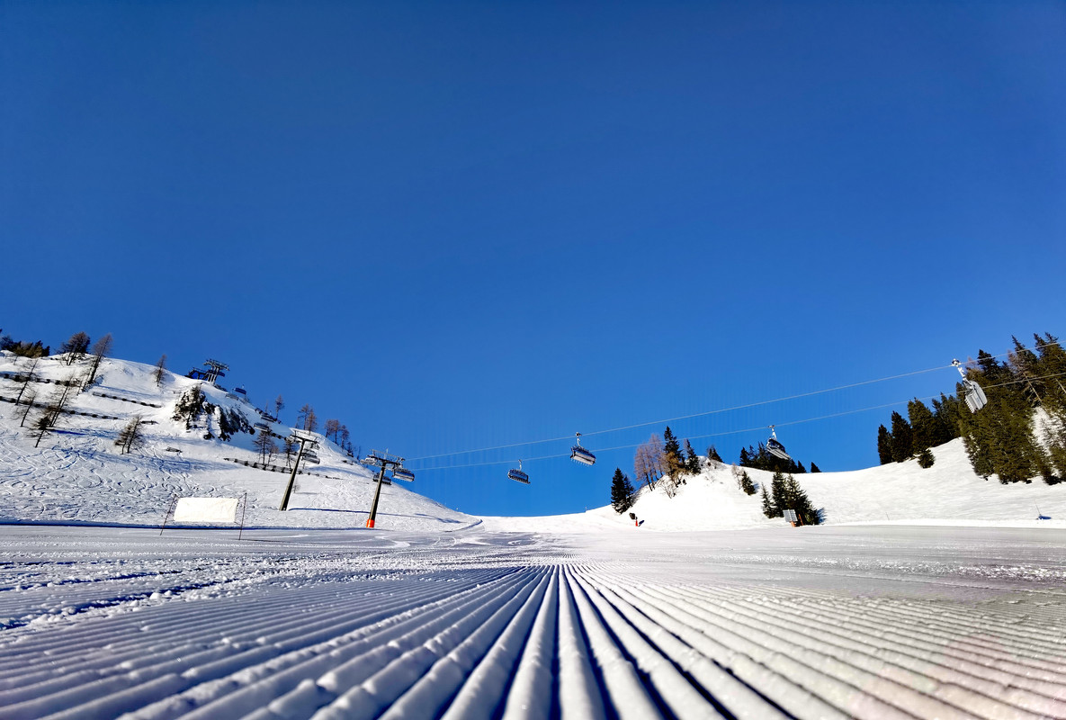 IMG_20220311_080104_edit_15205615139346