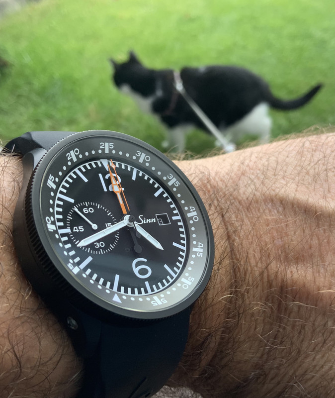 13026DF3-ABBF-4B03-91B8-4172AA685BF4