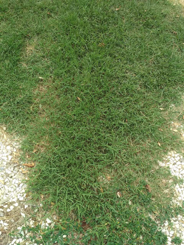 9303B95B-D668-498E-9560-6535C36AB48D