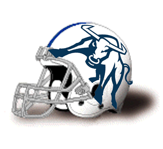 Vic's Bull Helmet Flip