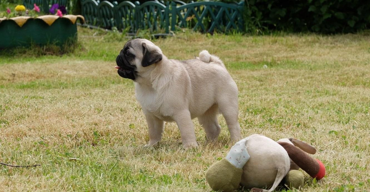 65EC22F9-FBEB-4D7A-86DA-34522055B987