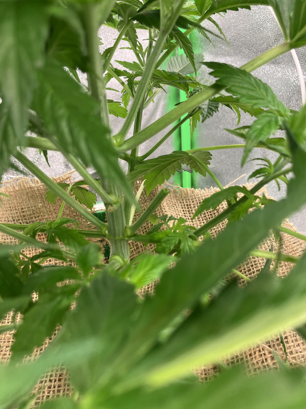 1014B2D4-87FB-4FA9-88A8-7121D5D44155