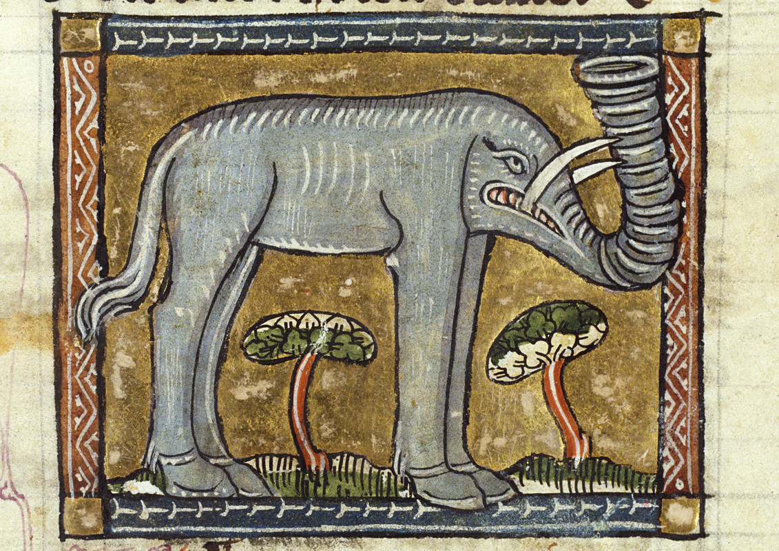 https://i.postimg.cc/hPT7vXqn/Elephas-elephant-Der-naturen-bloeme-Jacob-van-Maerlant-KB-KA-16-054r-b1.jpg