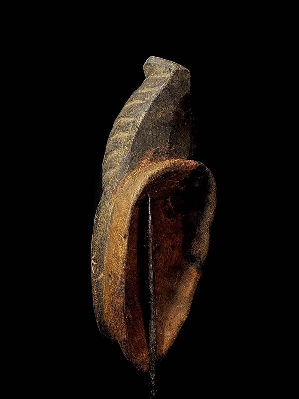 large image 10