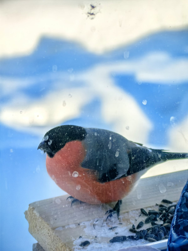 изображение_viber_2024-04-07_09-12-02-950