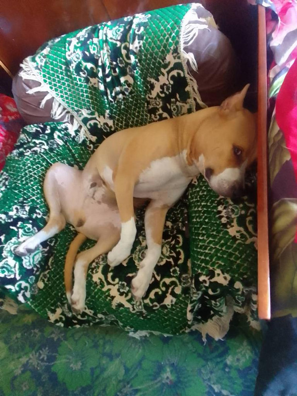 F3752945-9D1A-4C64-871D-56A1044641A1