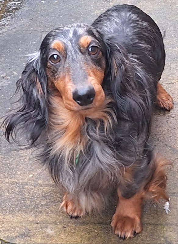 [Image: 20250110-150431.jpg]