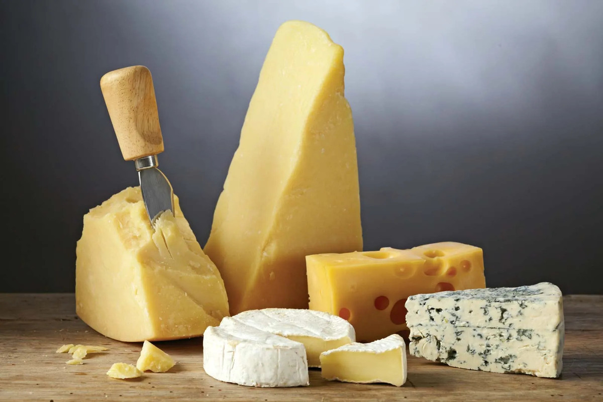 The Role of Cheese in Supporting Gut Health