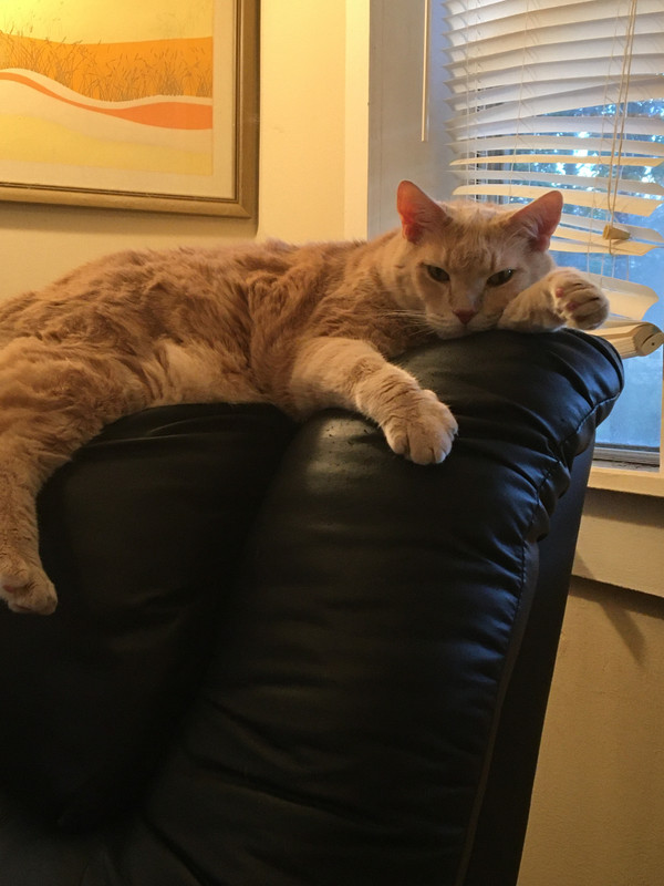 19C77104-4B94-4332-AA8A-2953E7D05625